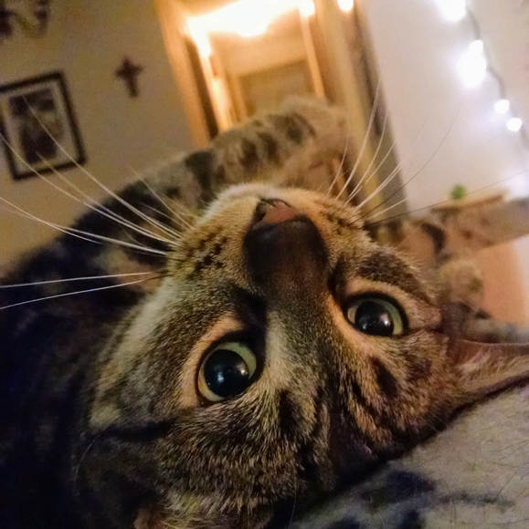 Meet your Posher, Amanda! - Picture 1 of 1